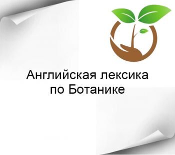 Английская лексика по Ботанике