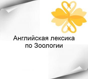 Английская лексика по Зоологии